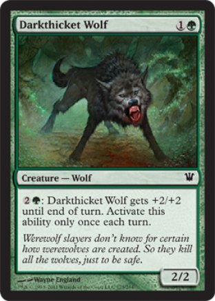 Darkthicket Wolf | Innistrad