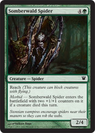 Somberwald Spider | Innistrad