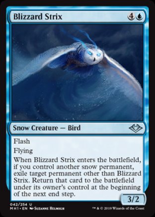 Blizzard Strix | Modern Horizons