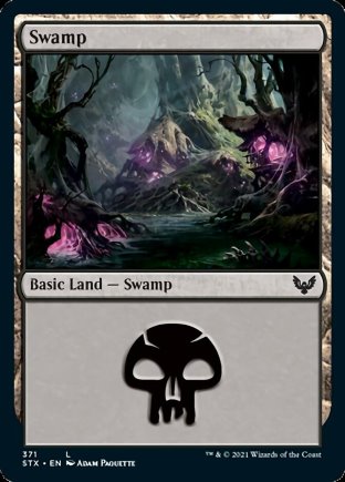 Swamp | Strixhaven